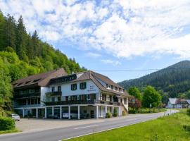 Hotel fotografie: A Black Forest Apartment-Zum Letzten G'Stehr