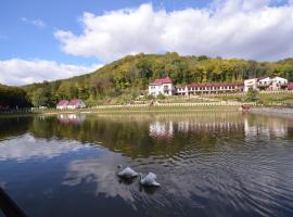MishyN-City Hotel, hotel en Dobrovlyany
