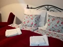 Hotel kuvat: Apartmany Žatec