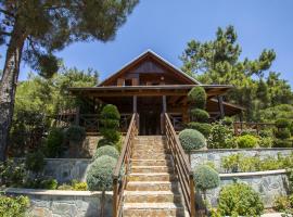 מלון צילום: Ricky Chalet Near Troodos