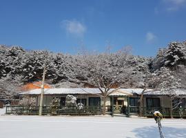 A picture of the hotel: Bluesky Pension