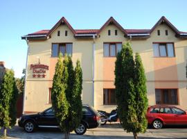 A picture of the hotel: Pensiunea Diadis