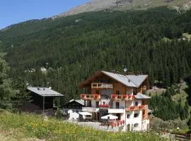 Hotel Vedig