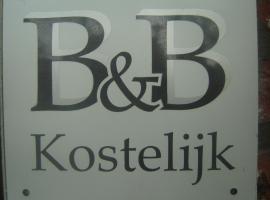 รูปภาพของโรงแรม: B & B Kostelijk