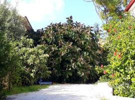 A picture of the hotel: La casa del ficus