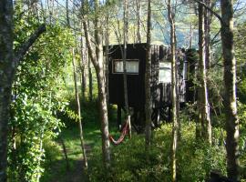 Lodge Punahue, hotel em Choshuenco