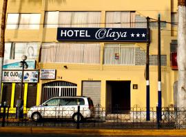Hotel Photo: Hotel Olaya