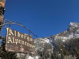 Фотография гостиницы: Albergo Alpenrose Ski&Bike Mountain Hotel