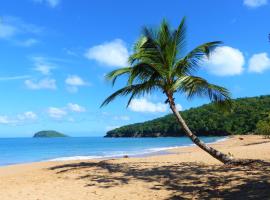 凡提斯玫瑰旅馆，位于德赛的酒店