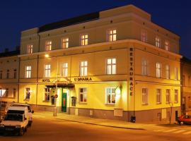 Hotel kuvat: Hotel U Divadla