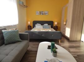 A picture of the hotel: Yellow Apartment