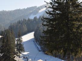 Garden Apart, hotel in Predeal