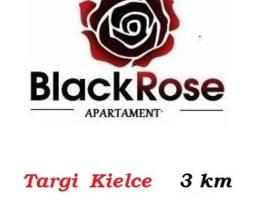 Photo de l’hôtel: Black Rose APARTAMENT Targi 3 km, F-ry Vat