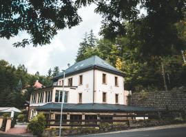 Hotel fotoğraf: Villa Bílý Mlýn