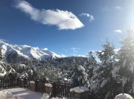 Hôtel Le Chalet d'Auron Restaurant et Spa