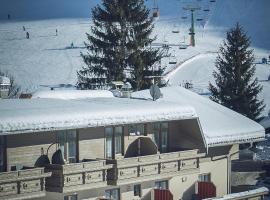 Фотография гостиницы: SKI IN & SKI OUT Hotel Sonnleiten