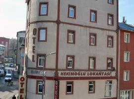 Ξενοδοχείο φωτογραφία: Hekimoğlu Hotel