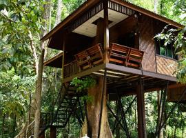 考索自然度假酒店，考索的飯店