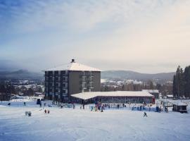 Bergshotellet, hotel en Järvsö