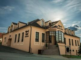 Gambaran Hotel: Zámecký penzion Kopeček