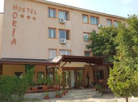 A picture of the hotel: Hostel Horia