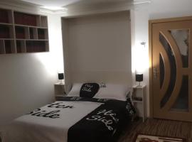 Gambaran Hotel: Apartament Dacia