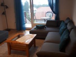 A picture of the hotel: Apartmam "Mavi"