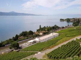 Hotel fotoğraf: Hotel Lavaux