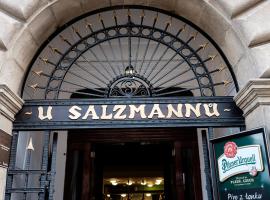 מלון צילום: Hotel U Salzmannů