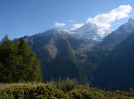 Foto di Hotel: Nella Val di Cogne Vieyes