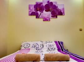 Maslina Rooms, hotel in Smederevo