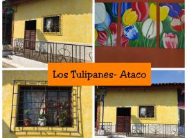 Hotel fotoğraf: Los Tulipanes-Ataco