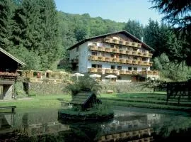 Wolffhotel
