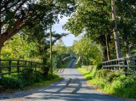 Hotel Photo: Bridge View House, Belturbet