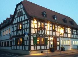 A picture of the hotel: Zum Schwanen Steinbach