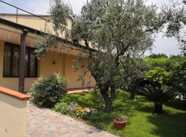 A picture of the hotel: B&B D'Avino