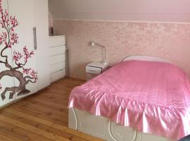 Hotel Photo: Guest House 20min from Samara Arena