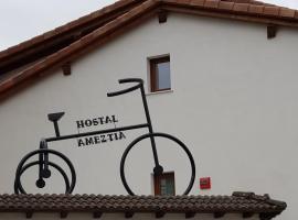 รูปภาพของโรงแรม: Hostal Ameztia