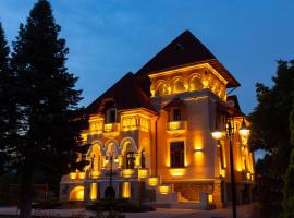 A picture of the hotel: Casa Danielescu