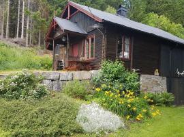 호텔 사진: Telemark Inn's Cabin at Mountain Farm