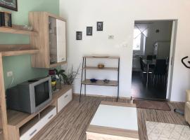 מלון צילום: Apartma Mahnič