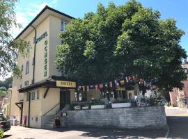 A picture of the hotel: Hotel Ochsen