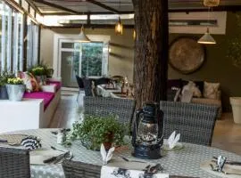 Village Boutique Hotel, hotel in Otjiwarongo