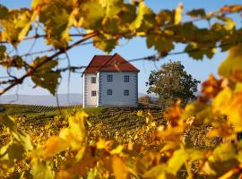 Ξενοδοχείο φωτογραφία: Wine Grower's Mansion Zlati Gric