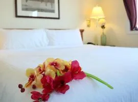 Nomad Hotel & Suites