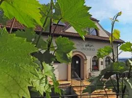 Hotel Vinohrad