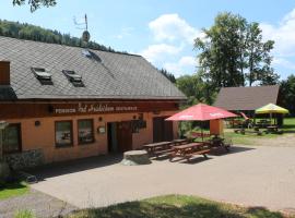 A picture of the hotel: Pension Pod Hrádečkem