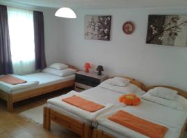 Gambaran Hotel: 100 ÉVES NOSZTALGIA APARTMAN