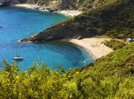 Tenuta Delle Ripalte