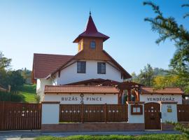 Hotel Foto: Buzás Pince Vendégház